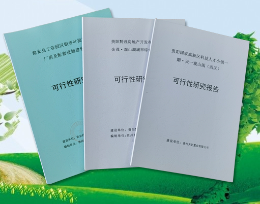 可行性研究報告